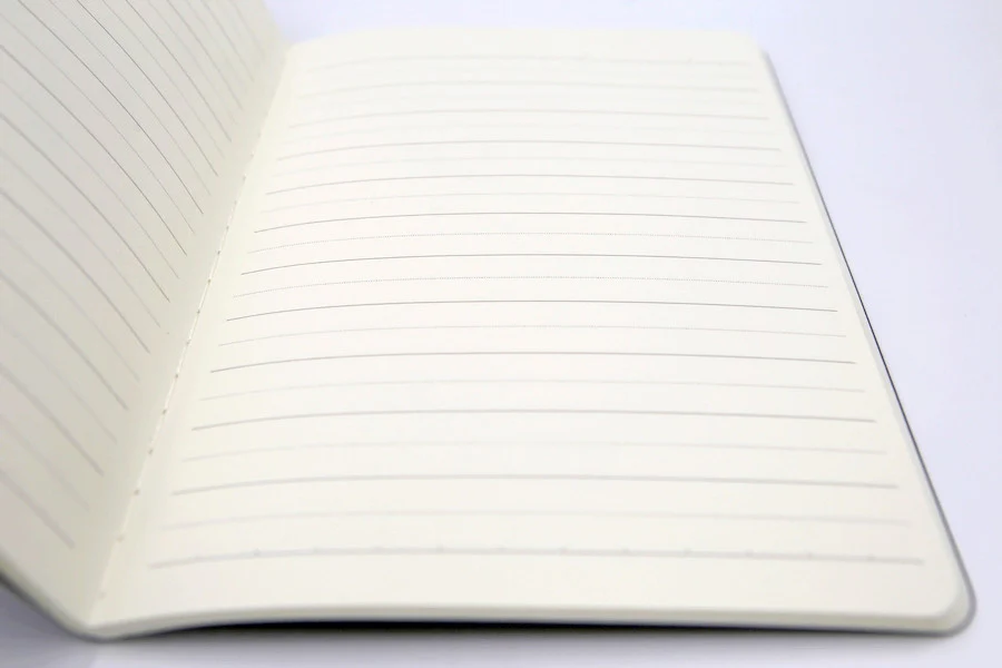 CAHIER DEER DROP - Image 3