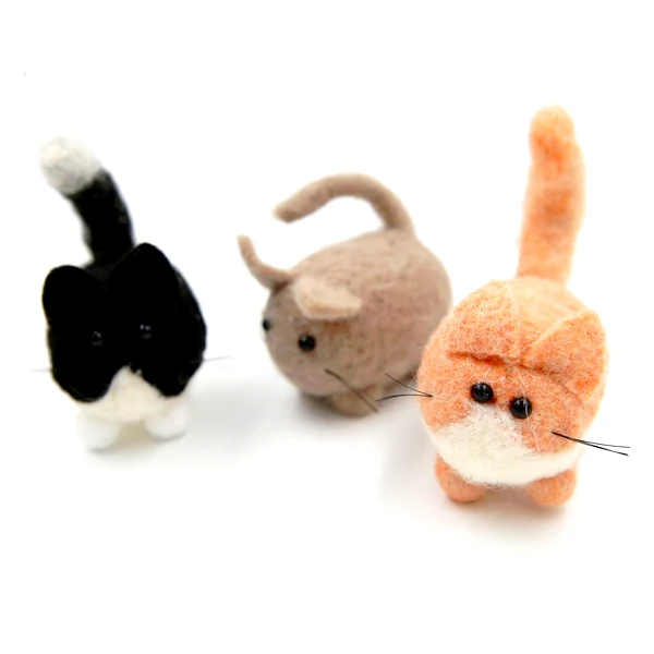 Cat W, P & G - Image 4