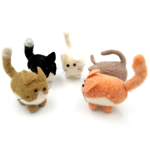 Cat W, P & G - Image 5