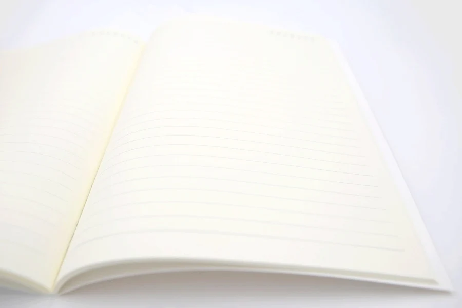 CAHIER CHAT MONICA AND FISH - Image 3