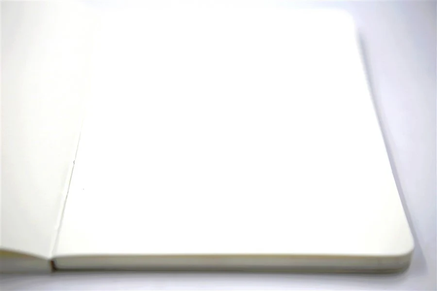 CARNET NICE PANDA WINDOW - Image 3